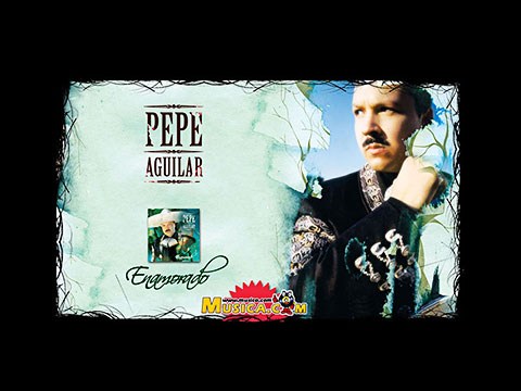 Pepe Aguilar:Que Bueno - lyricswikiacom