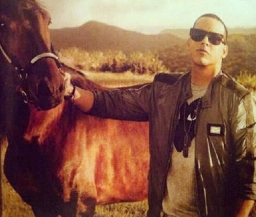 Curiosidad de Daddy Yankee
