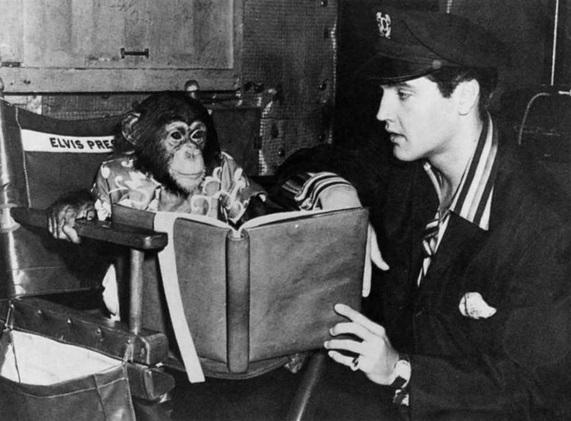 Curiosidad de Elvis Presley