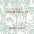 Portada de Youth Is Wasted on the Young