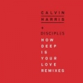 Portada de How Deep Is Your Love (Remixes)