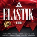 Portada de Elastik Riddim