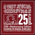 Portada de A Very Special Christmas 25th Anniversary