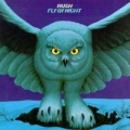 Portada de Fly by Night