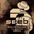 Portada de What Do You Love (Remixes) - EP