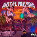 Portada de HOTEL MALIGNO