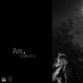 Portada de Am, iubito