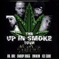 Portada de The Up in Smoke Tour