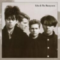 Portada de Echo & the Bunnymen 