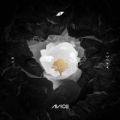 Portada de AVĪCI (01) - EP