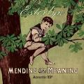 Portada de Mending the Meaning