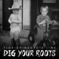 Portada de Dig Your Roots