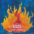 Portada de Savor Flamenco