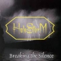 Portada de Breaking The Silence