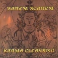Portada de Karma Cleansing