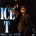 Portada de Cold as Ever