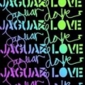 Portada de Jaguar Love