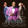 Portada de Bridges