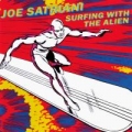 Portada de Surfing With the Alien