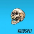 Portada de Voidspit