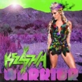 Portada de Warrior (Album Commentary)