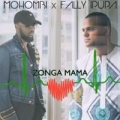 Portada de Zonga Mama