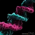 Portada de DNA