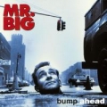 Portada de Bump Ahead