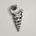 Portada de Restoring Force: Full Circle