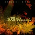 Portada de The Rainwater LP