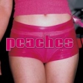 Portada de The Teaches of Peaches