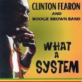 Portada de What a System