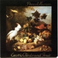 Portada de Exotic Birds and Fruit