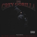 Portada de The Grey Gorilla