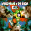 Portada de Windowpane / The Snow