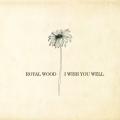 Portada de I Wish You Well