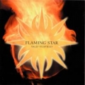 Portada de Flaming Star