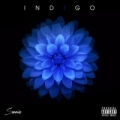 Portada de Indigo