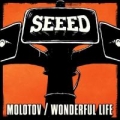 Portada de Molotov / Wonderful Life