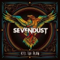 Portada de Kill The Flaw