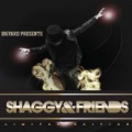 Portada de Shaggy & Friends