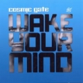 Disco de la canción Wake Your Mind 