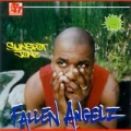 Portada de Fallen Angelz