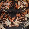 Portada de Eye of the Tiger
