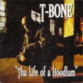 Portada de The Life of a Hoodlum