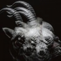 Portada de BEAUTIFUL DEFORMITY