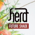 Portada de Future Shade