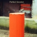 Portada de Perfect Solution