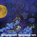 Portada de Transcendental Youth 