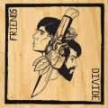 Portada de Friends Divide